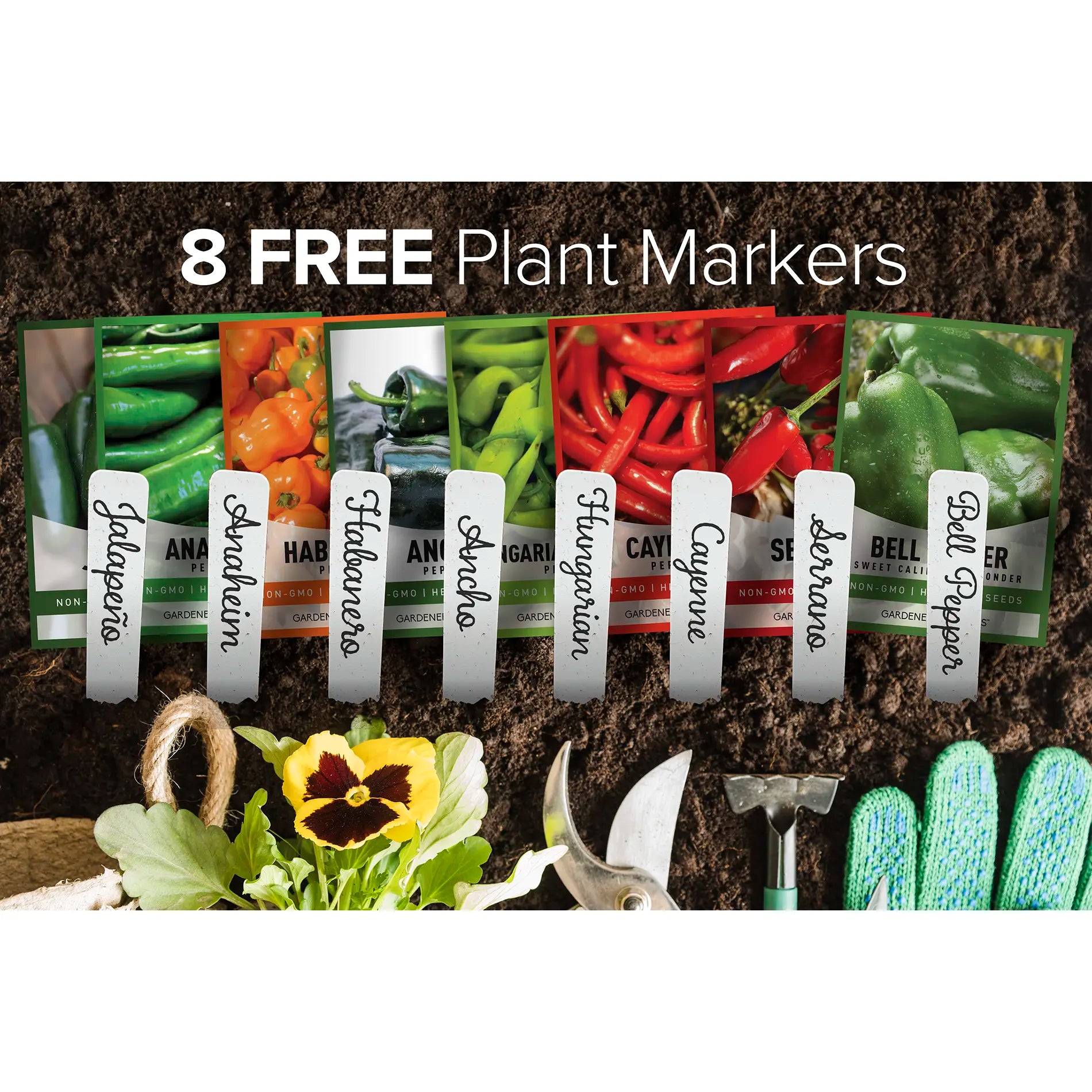 Culinary Herb Seed Assortment | 5 Variety Pack Home Planting